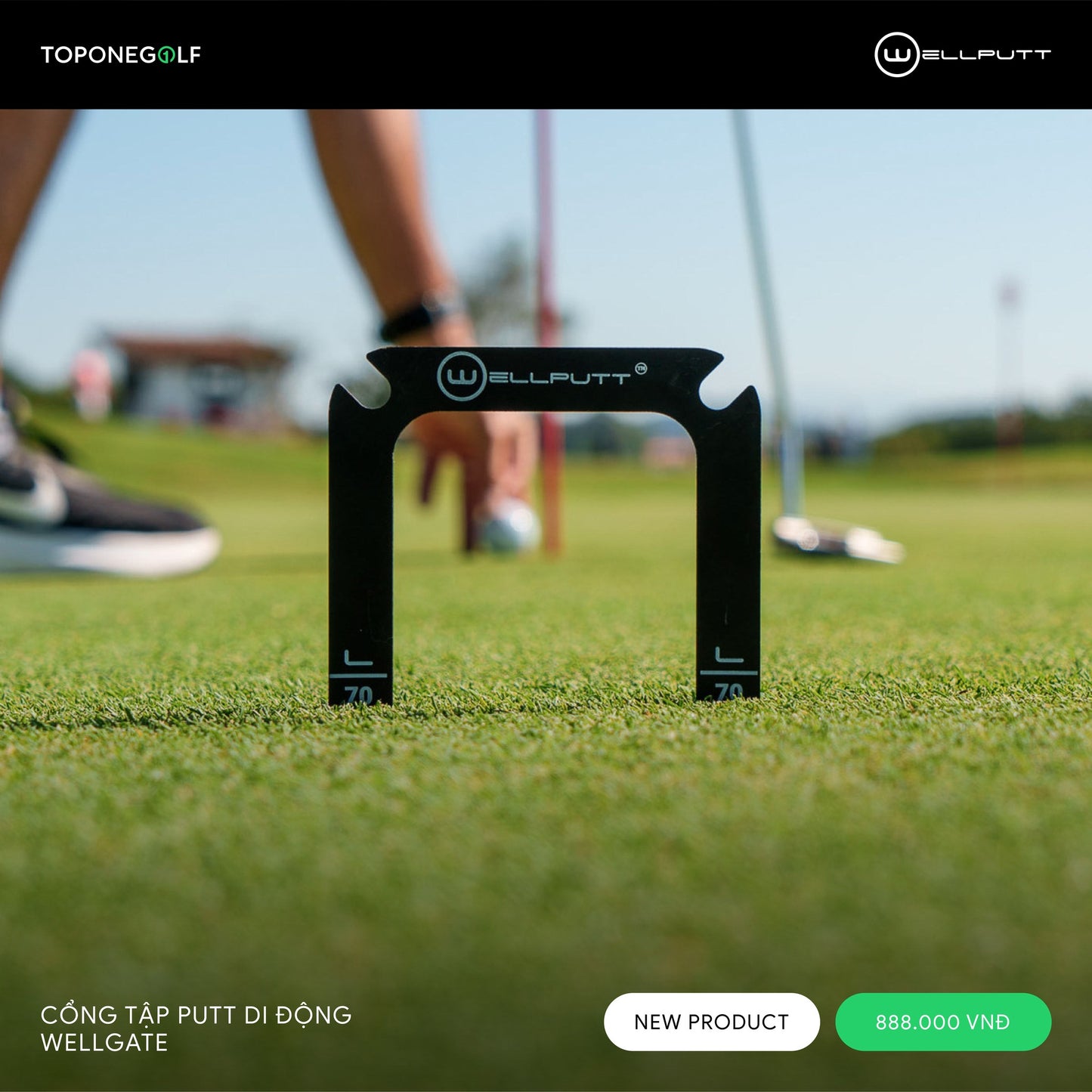 WELLPUTT WELLGATE