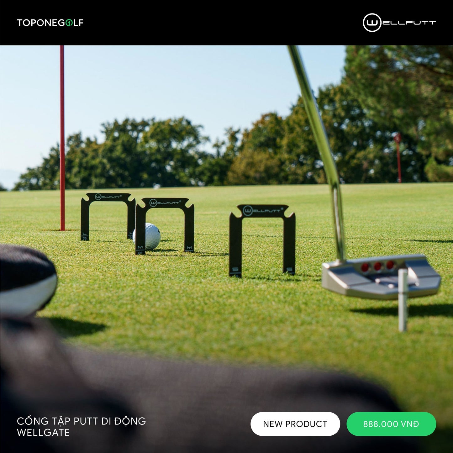 WELLPUTT WELLGATE